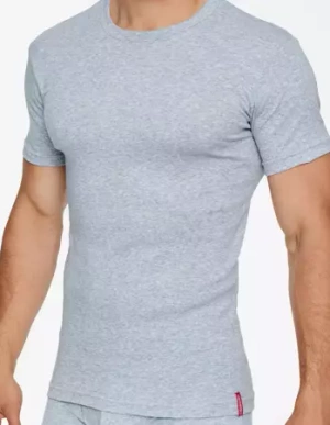 Men's short-sleeved T-shirt Henderson gray 1495